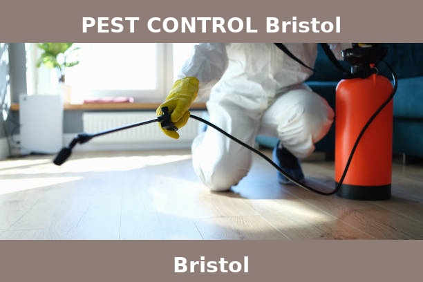 PEST CONTROL Bristol